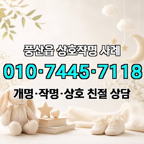 게시판 이미지 1982
