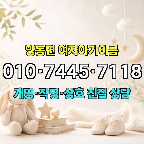 게시판 이미지 4246