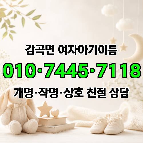 게시판 이미지 7705