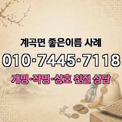 게시판 이미지 3919
