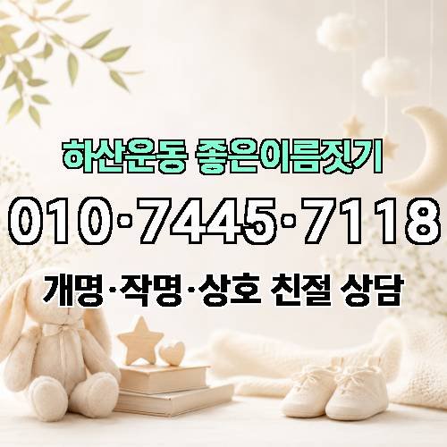 게시판 이미지 538
