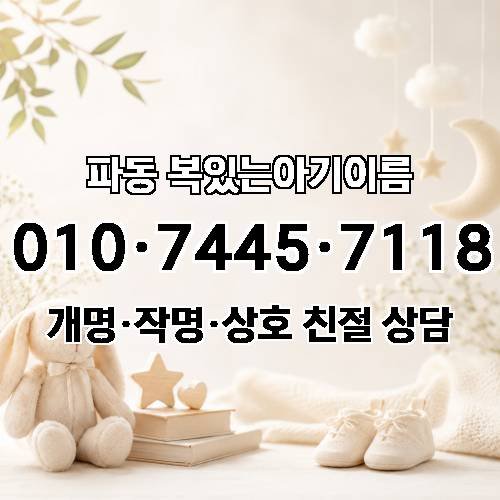 게시판 이미지 2544