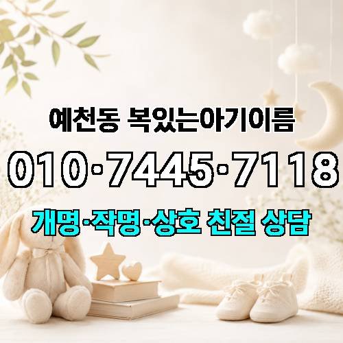게시판 이미지 4517