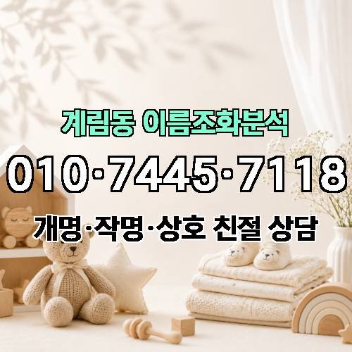 게시판 이미지 2311