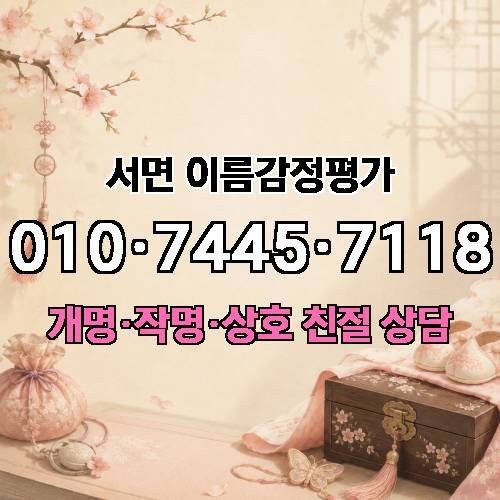 게시판 이미지 323