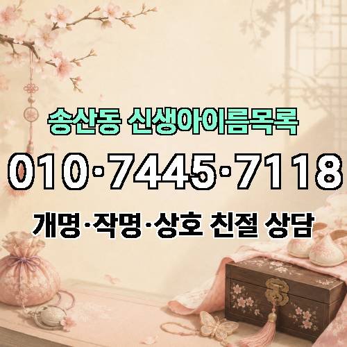 게시판 이미지 4251