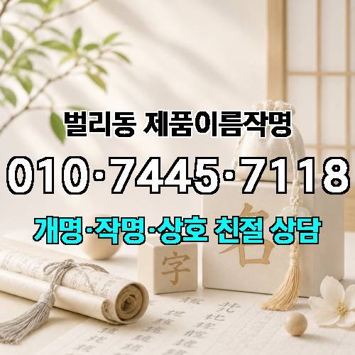 게시판 이미지 1242