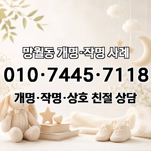 게시판 이미지 7256