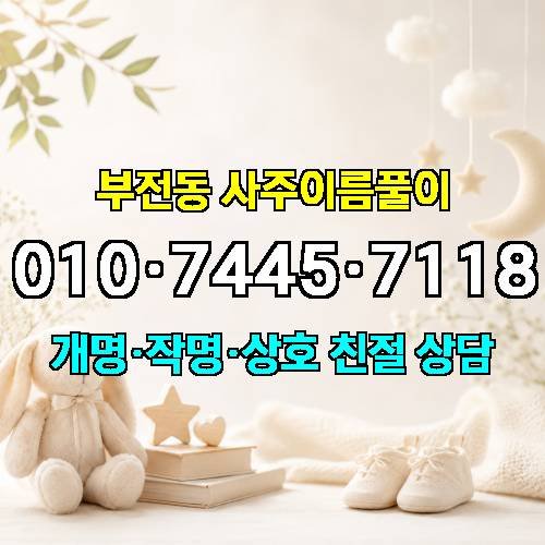 게시판 이미지 4243