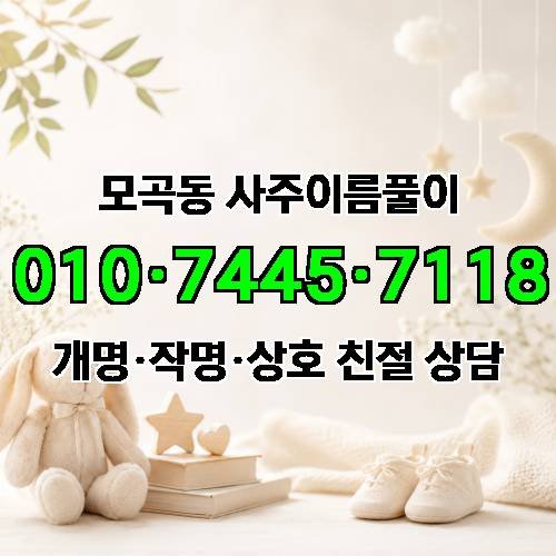 게시판 이미지 991